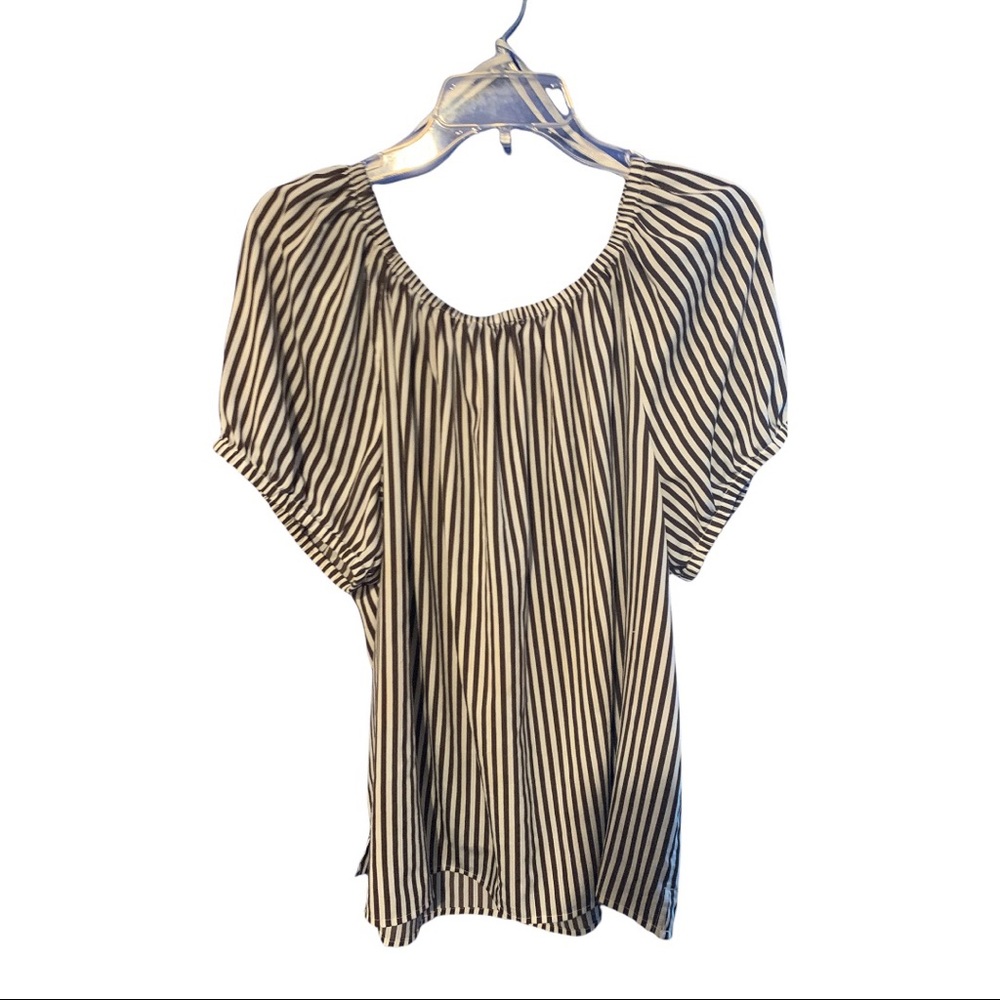 Chicos Brown and White Top